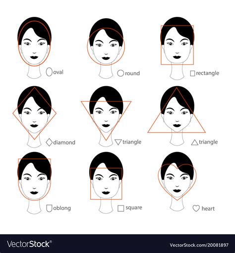 Woman Face Types On White Background Royalty Free Vector