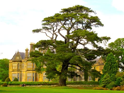 15 autominuten) kenmare, im 6.000 jahre alten tuosist, umgeben vom meer auf der einen und. Bilder Irland Muckross House & Garden Haus Städte