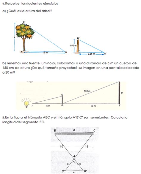 Arriba Imagen De Fondo Problemas De Congruencia Y Semejanza De Triangulos Resueltos Lleno