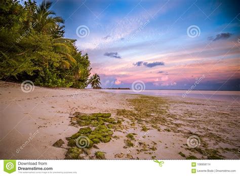 Amazing Tropical Beach Sunrise Or Sunset Landscape Palm