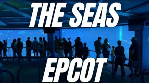 Epcot The Seas Pavilion Aquarium Full Experience Hd Walt Disney World