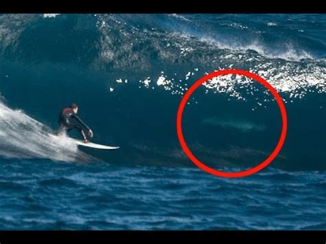 Maybe you would like to learn more about one of these? biggest wave surfed ...
