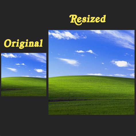 Resize Upscale Image Photo Ai Art Up To 8x By Deleted13 Fiverr