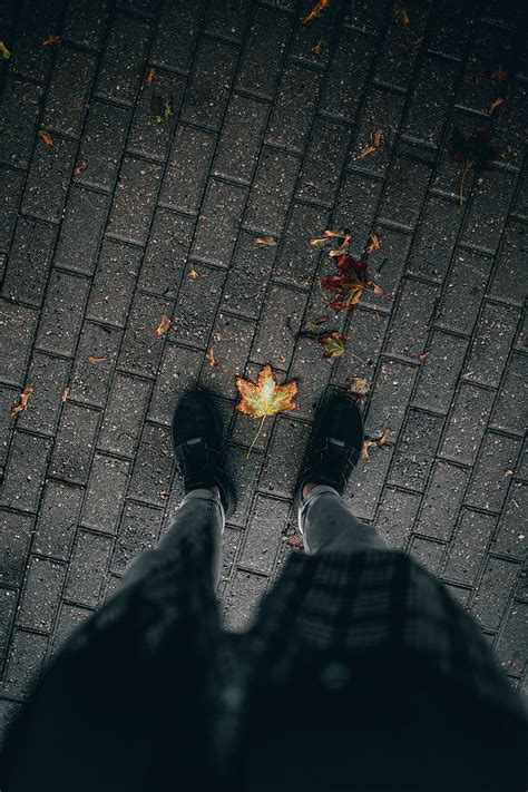 Legs Paving Stones Leaves Dry Autumn Hd Phone Wallpaper Peakpx