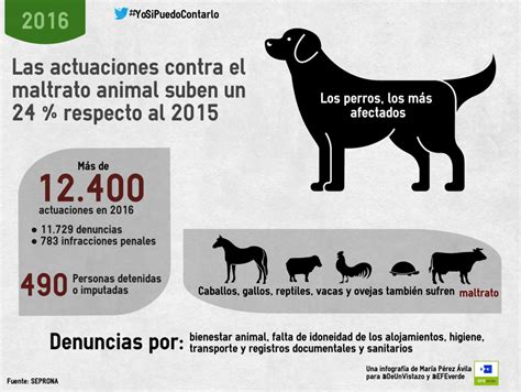 Maltrato Animal Las Actuaciones Del Seprona Suben Un 24 Respecto 2015