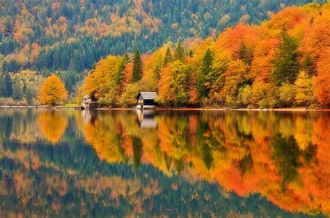 Jun 15, 2021 · subterranean slovenia: Slovenia Autumn Landscape Workshop - Guy Edwardes Photography
