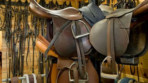 Horse Tack All The Items Horse Owners Need