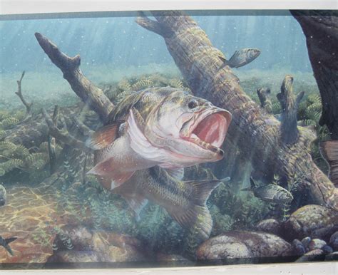 48 Free Bass Fishing Wallpaper Wallpapersafari