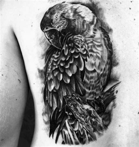 60 Parrot Tattoo Designs For Men - Mimicry Ink Ideas
