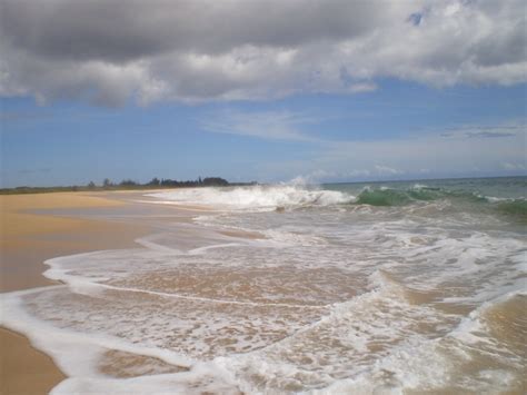 Barking Sands Beach Kauai Beach Beach Sand Kauai