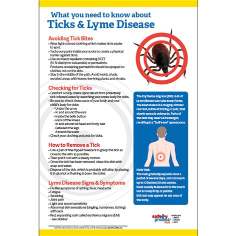 Lyme Disease Ticks 12x18 Poster 5000 Lyme Ticks Safety Promos Plus
