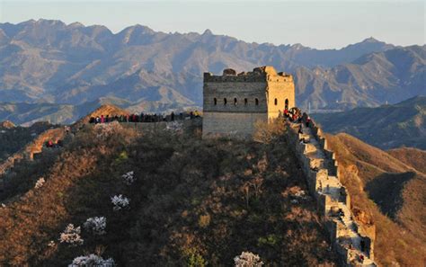 Spring Outing In Jingshanling Great Wall To See Apricot Blossoms