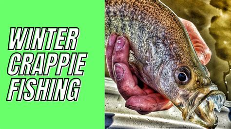 Winter Crappie Fishing Youtube