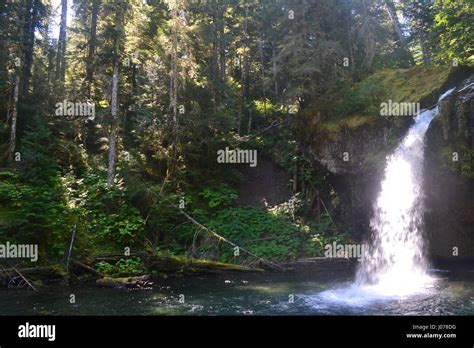 Waterfall In Ford Pinchot National Forest Wa Stock Photo Alamy