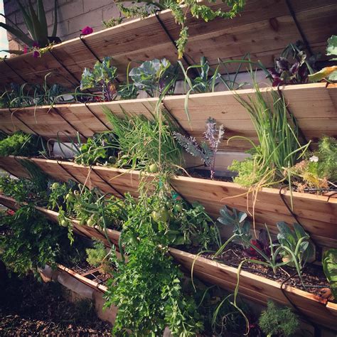 Edible Wall At Flower Street Workshop Backyard Plants