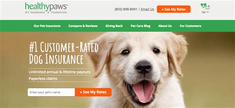 Healthy Paws Pet Insurance Helps Pet Lovers Reduce the ...