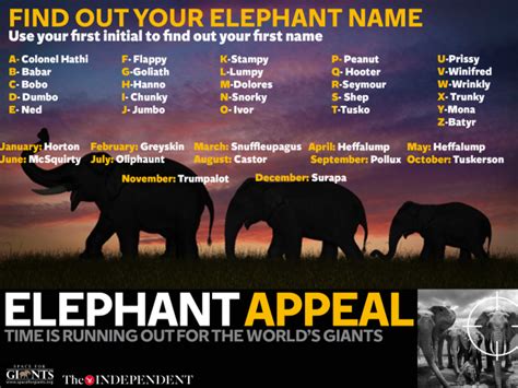 This Is Your Elephant Name The Independent