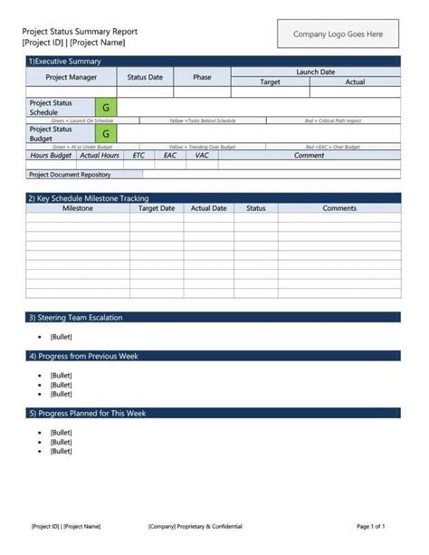 Executive Summary Project Status Report Template Professional Plan