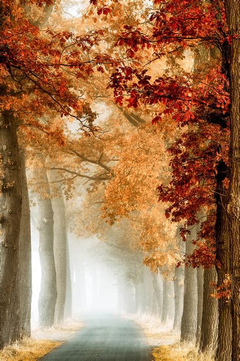 In Love With Fall — Lars Van De Goor Landscape Pictures Nature