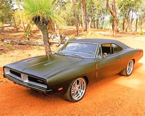 1969 Dodge Charger Paint By Numbers Numeral Paint Kit