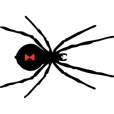 Black Widow Spider Svg Vector Black Widow Spider Clip Art Svg Clipart