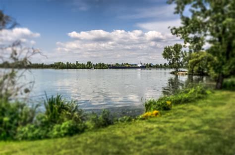 Montreal In Pictures  La Prairie