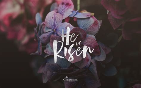 Easter Sunday Wallpaper 71 Images