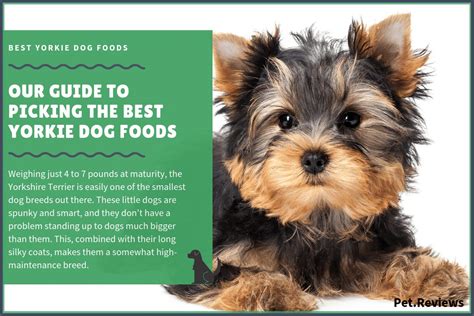 Our 2021 top 15 picks. 10 Best Dog Food for Yorkies (Teacup & Puppy) - 2019 Brands