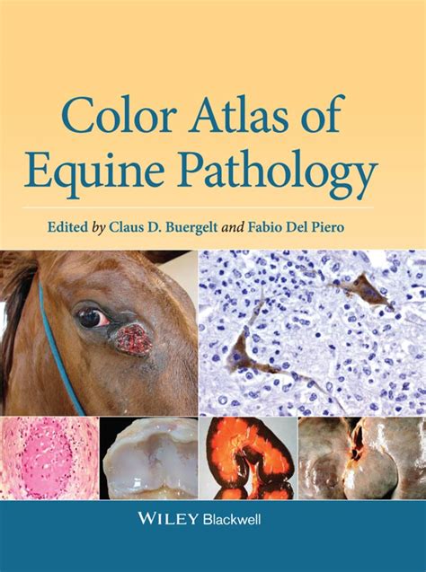 Color Atlas Of Equine Pathology