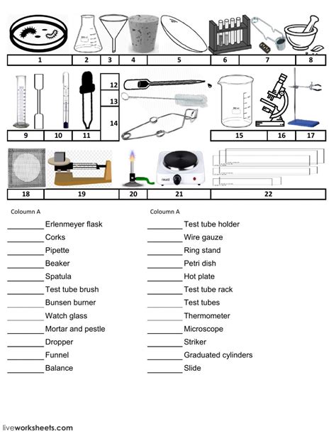 Science Lab Equipment Test Interactive Worksheet
