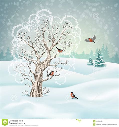 Download Vector Winter Landscape stock vector. Illustration of frosty - 104592391