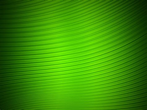 Green Hd Desktop Wallpaper