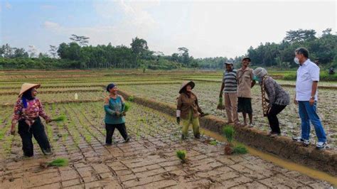 Bagi anda pengguna kartu kredit bri tentunya dapat melakukan pembayaran kartu kredit dengan beberapa cara. Tabel KUR BRI Syariah 2021