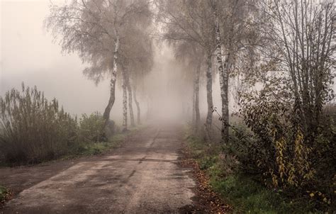 Wallpaper Road Autumn Fog Images For Desktop Section природа Download