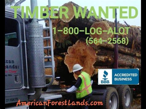 Wa Log Buyer Nw🔴logging Washington Timber Work Tree Farm Lewis County