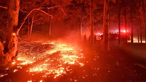 Australia Bushfires Three Americans Dead After Water Tanker Plane