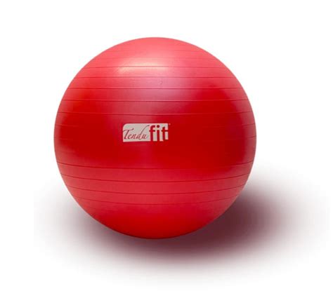 Exercise Ball 75cm Gym Ball 75cm Exercise Balls Pde Dance Supplies