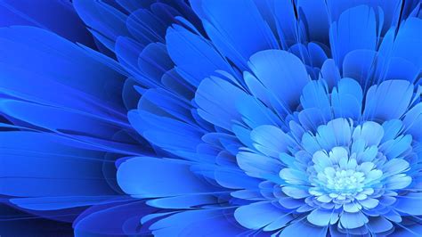 Blue Flower Wallpaper