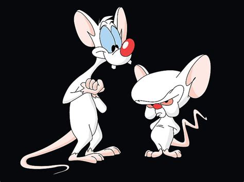 HD Wallpaper Pinky And The Brain Wallpaper Flare