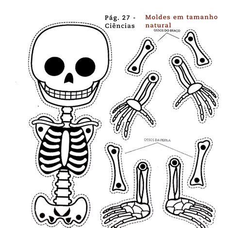 Esqueleto Articulado Imagui
