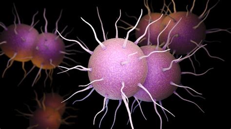 2 Uk Women Diagnosed With Antibiotic Resistant Gonorrhoea