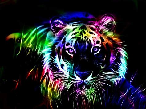 Neon Big Cat Bright Colors Photo 40253702 Fanpop