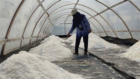 Melihat Proses Pembuatan Garam Di Kampung Garam Di Mirit Kebumen Mulai