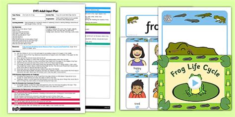 Frog Life Cycle Mind Map Starter EYFS Adult Input Plan And Resource Pack