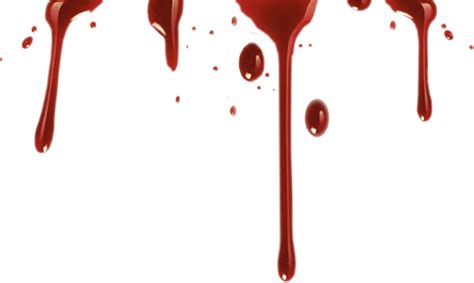 Download Realistic Blood Drip Png Vector Stock Realistic Blood