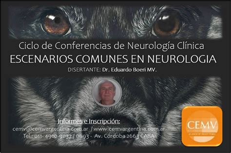 Ciclo De Conferencias Online En Neurología Clínica De Caninos Y Felinos