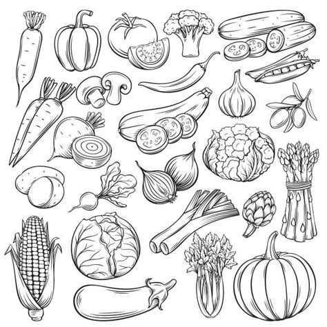 Premium Vector Hand Drawn Vegetables Icons Set Vegetable Drawing