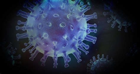 The day is reset after midnight gmt+0. Coronavirus: The pandemic-causing COVID-19 virus and how ...