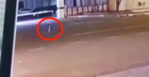 Tiny Alien Caught On Cctv Cameras As It Floats Around In Mid Air Then