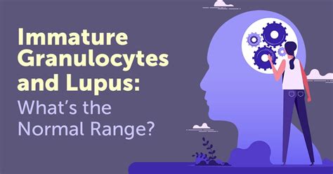Immature Granulocytes And Lupus Whats The Normal Range Mylupusteam